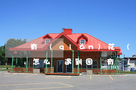 有錢(qián)花無(wú)法提前還款怎么辦，遇到困難：有錢(qián)花卻無(wú)法提前還款，你該怎么辦？
